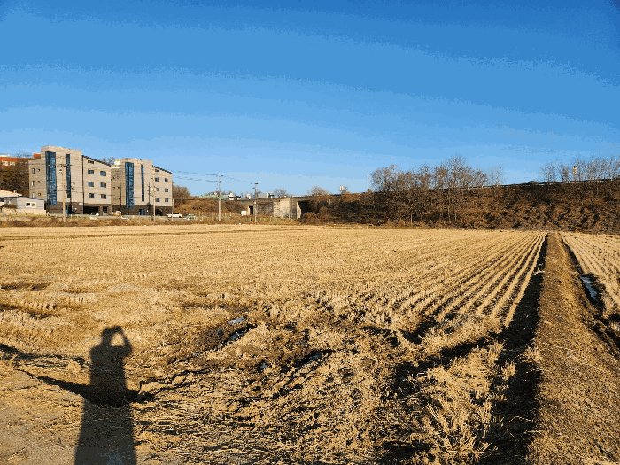 경기도 평택시 고덕면 동고리 334-2