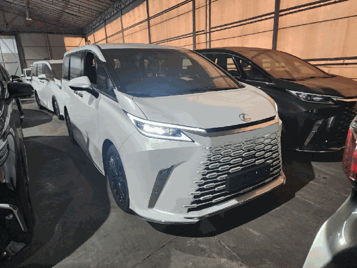 재규어 렉서스 LM500h Executive