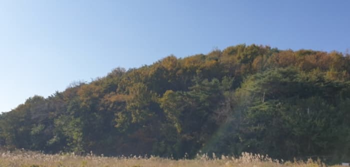 경기도 안산시 단원구 대부동동 산107-6