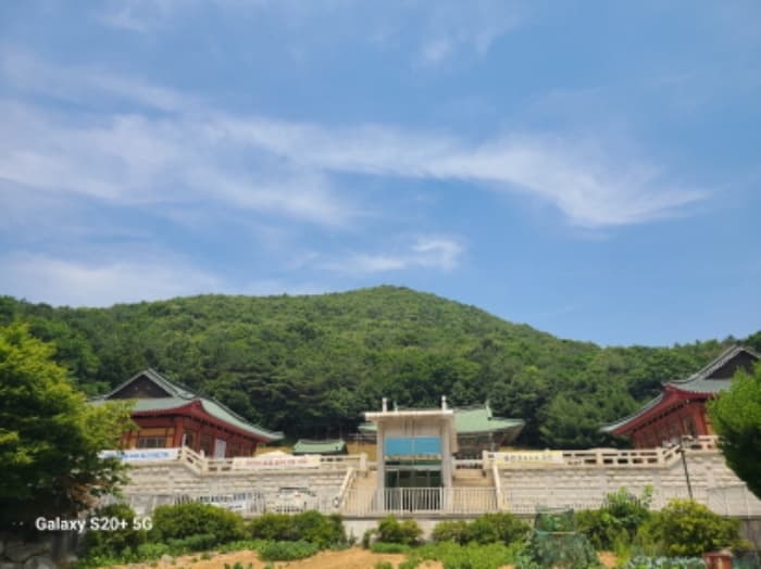 경기도 시흥시 영각사길 52 (군자동,대한불교영각사가동)