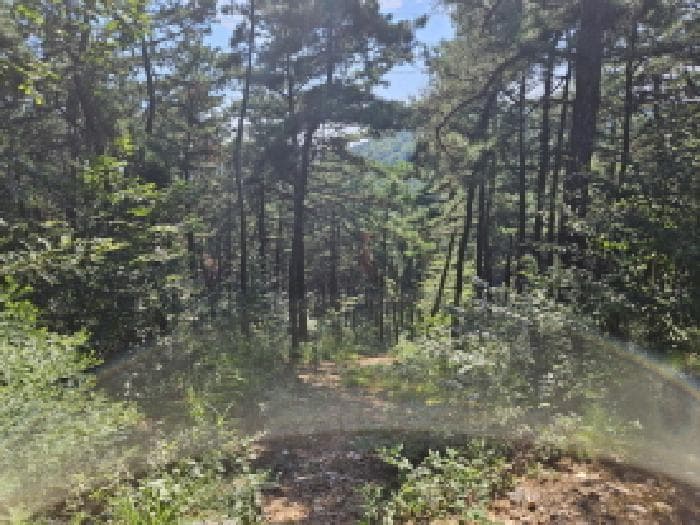 경기도 시흥시 정왕동 산7