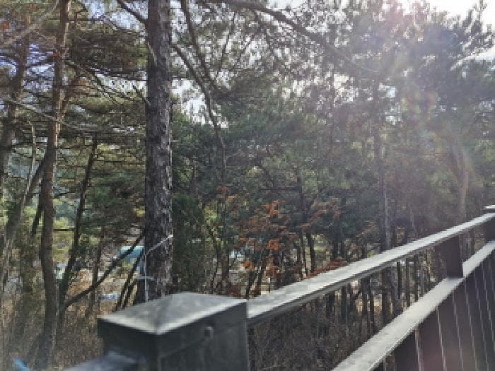 경기도 안산시 단원구 대부북동 1577-7