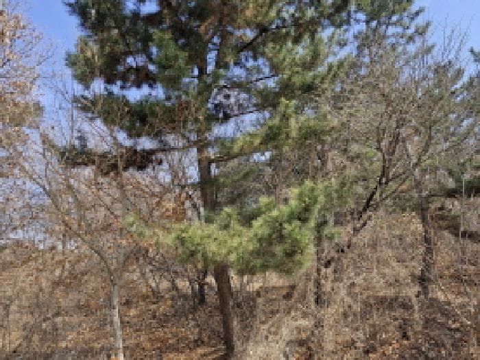 경기도 안산시 단원구 대부남동 489-14