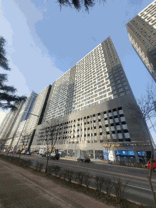 경기도 안산시 단원구 성곡동 838-2 아티스큐브2차  17층1716호