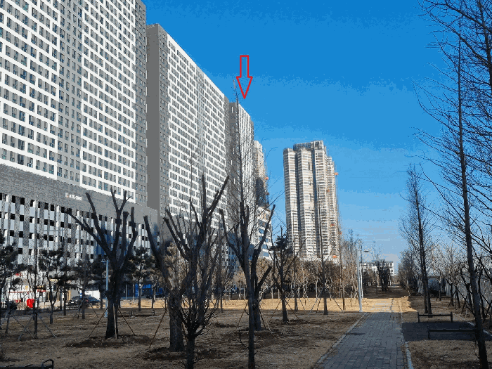 경기도 안산시 단원구 성곡동 838-7 마리나큐브  10층1017호