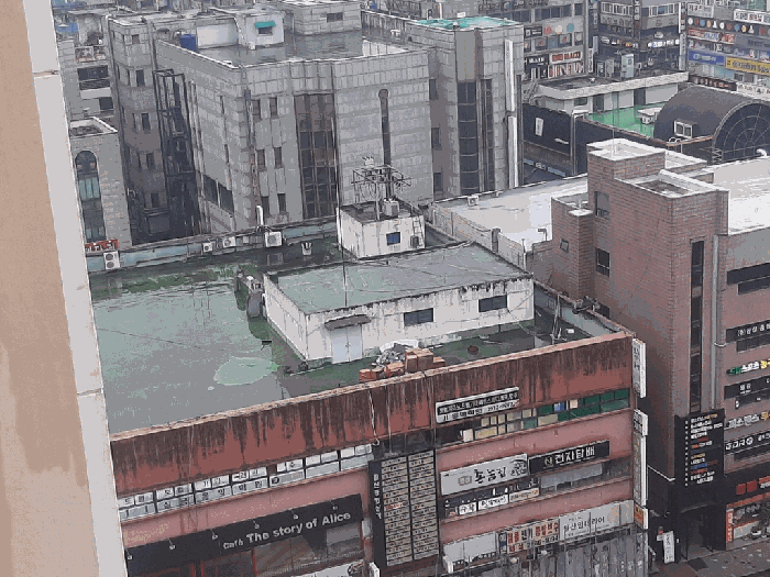 경기도 광명시 철산동 440-4
