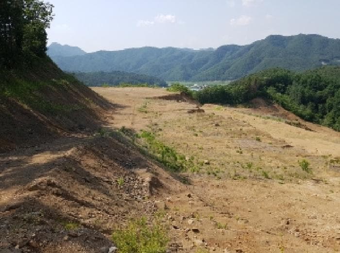 강원특별자치도 홍천군 서면 반곡리 산89