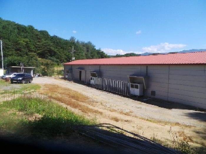강원특별자치도 양구군 동면 덕곡리 470 주건축물제1동