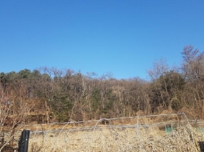 강원특별자치도 춘천시 송암동 산15-8