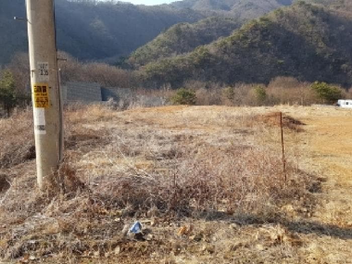 강원특별자치도 홍천군 남면 남노일리 230-15