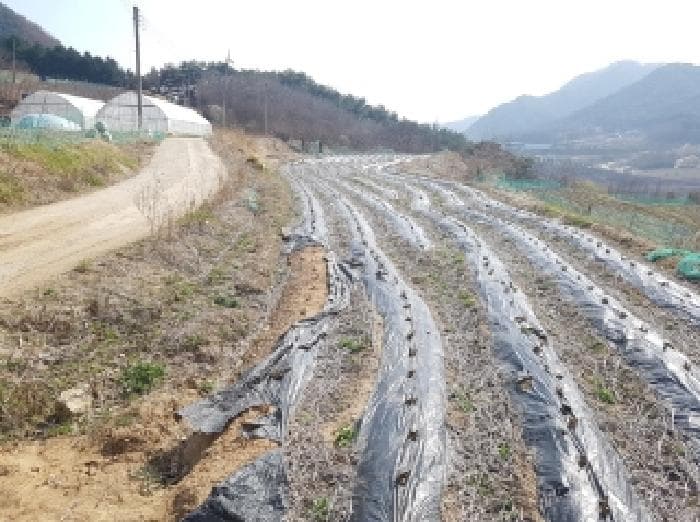 강원특별자치도 인제군 상남면 하남리 66-3