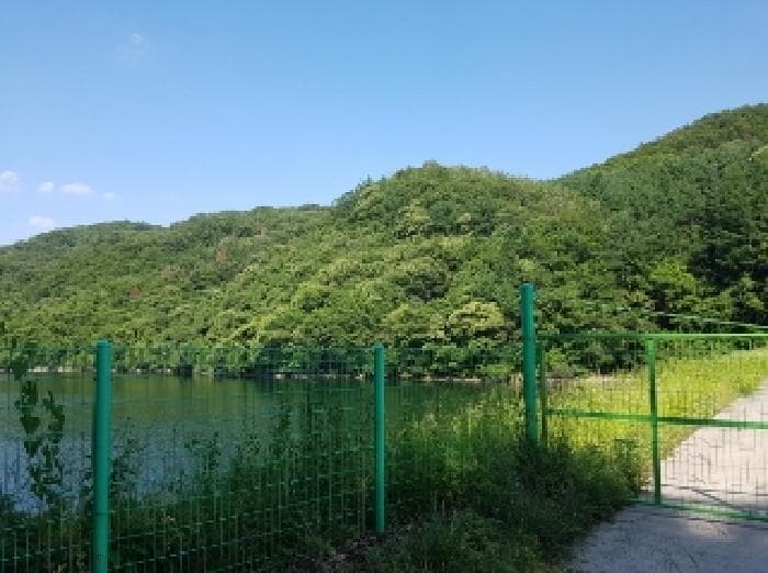 강원특별자치도 춘천시 남산면 수동리 산57