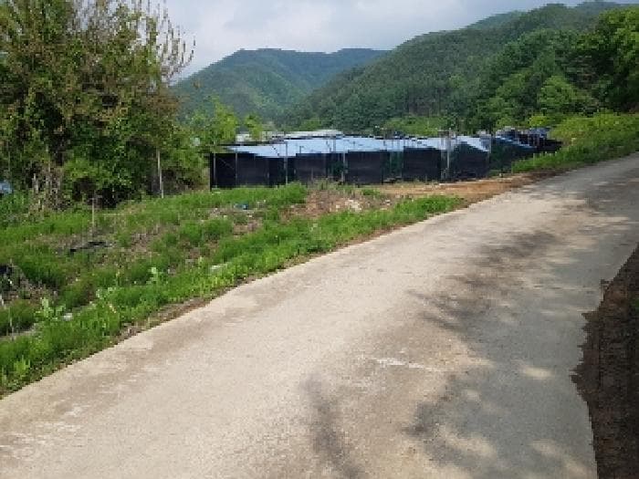 강원특별자치도 홍천군 두촌면 자은리 115