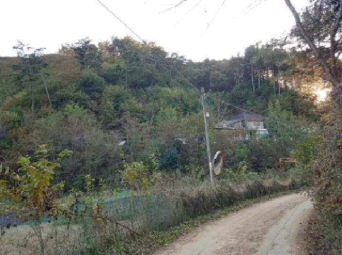 강원특별자치도 홍천군 남면 화전리 347