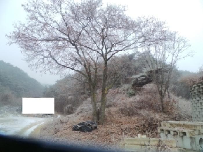 강원특별자치도 춘천시 동면 지내리 산51-3