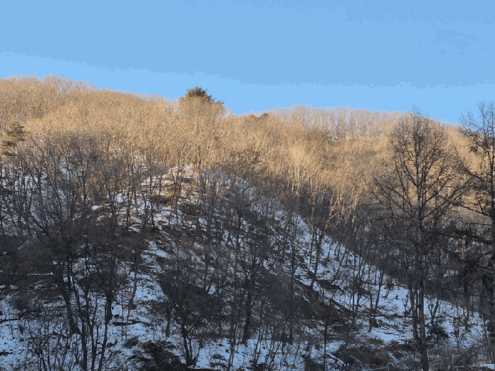 강원특별자치도 화천군 상서면 다목리 산50
