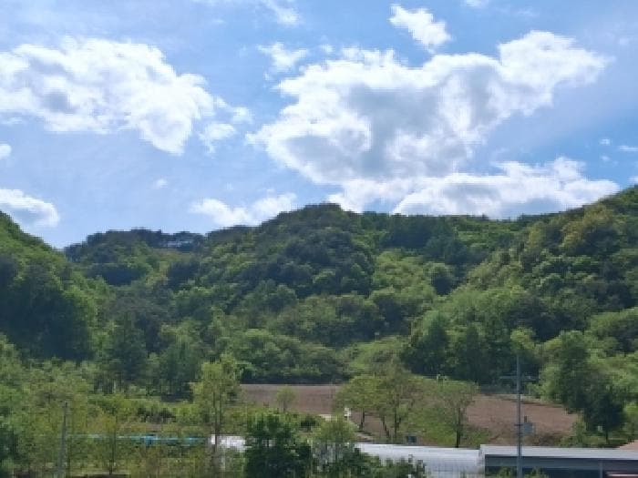 강원특별자치도 화천군 하남면 삼화리 산60-1