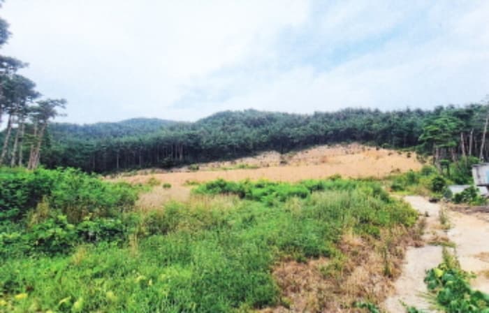 강원특별자치도 강릉시 강동면 산성우리 201-1