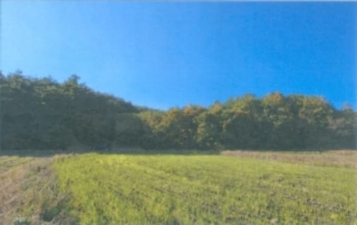 강원특별자치도 강릉시 연곡면 행정리 산14