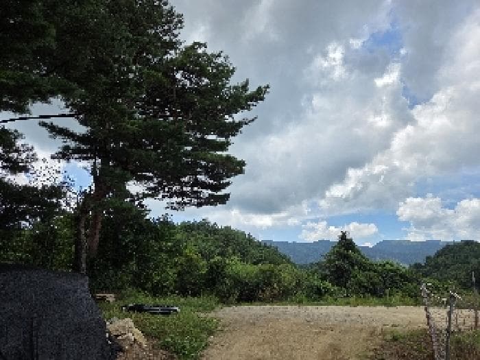 강원특별자치도 강릉시 왕산면 대기리 463-1