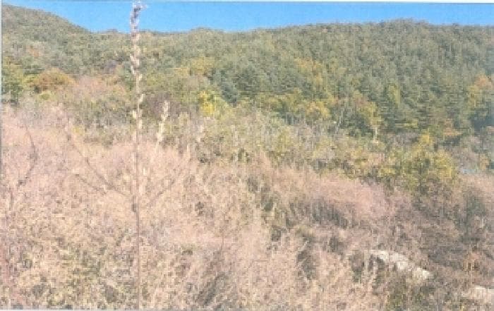 강원특별자치도 강릉시 연곡면 삼산리 818-7 82도하우스