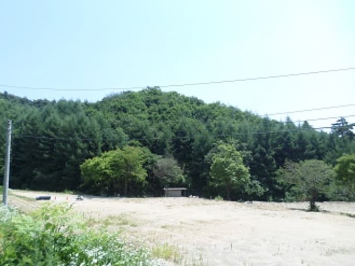 강원특별자치도 원주시 판부면 서곡리 산156