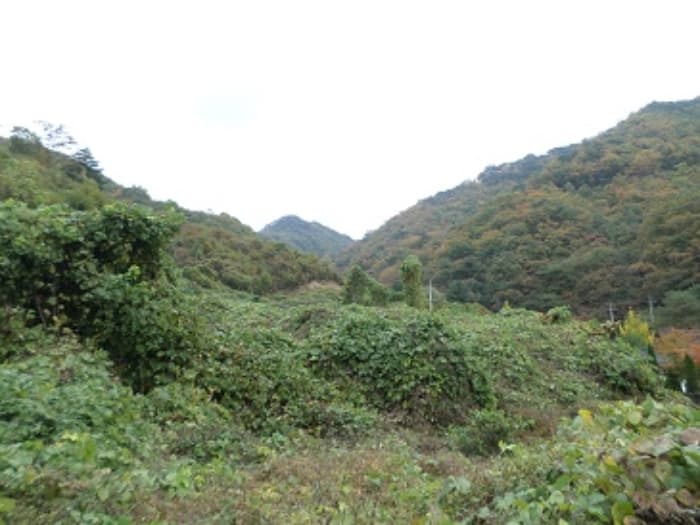 강원특별자치도 횡성군 우천면 오원리 234