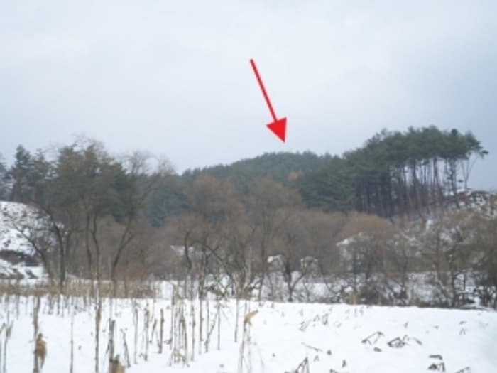 강원특별자치도 횡성군 둔내면 두원리 산32-5