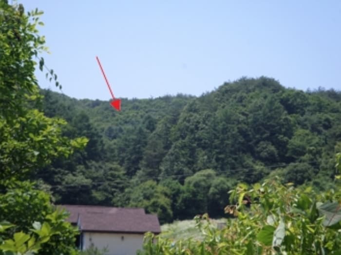 강원특별자치도 원주시 문막읍 비두리 282