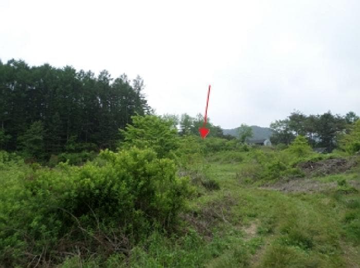 강원특별자치도 원주시 흥업면 대안리 619