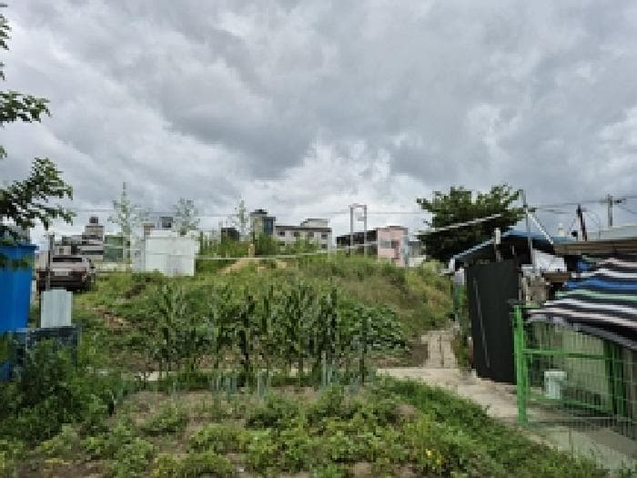 강원특별자치도 원주시 학성동 338