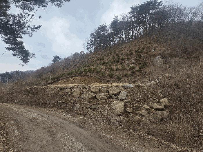 강원특별자치도 원주시 신림면 금창리 산133-12