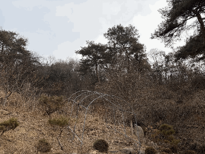 강원특별자치도 원주시 소초면 평장리 1122-6