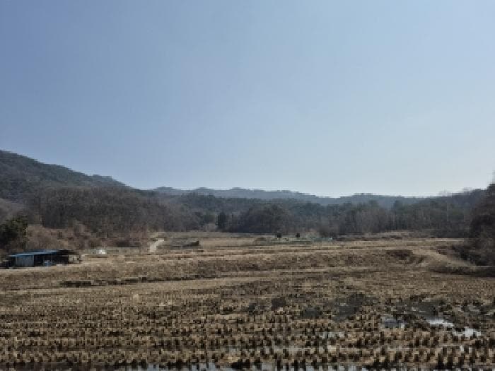 강원특별자치도 원주시 부론면 손곡리 산21-1