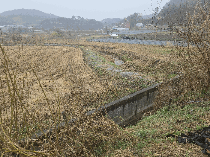 강원특별자치도 원주시 지정면 월송리 168-5