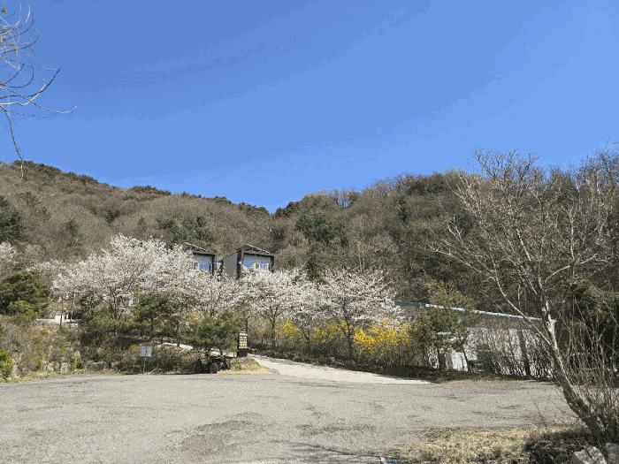 강원특별자치도 원주시 소초면 흥양리 320-1