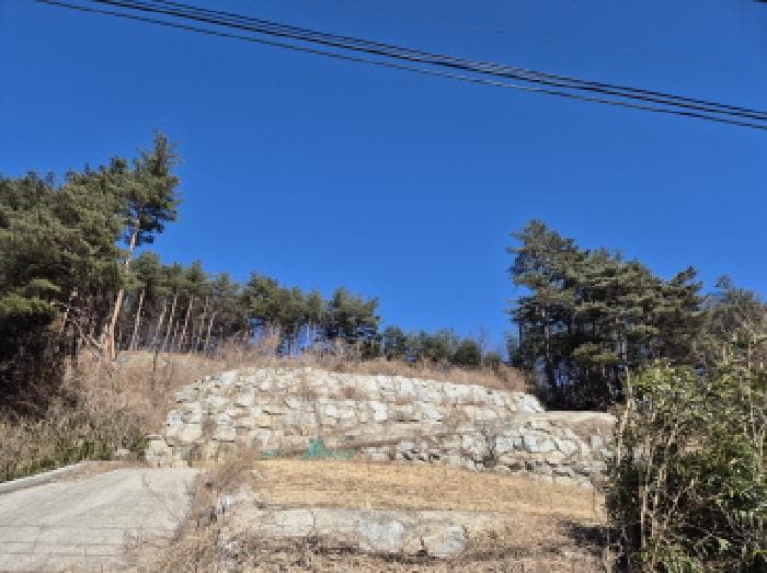 강원특별자치도 양양군 현남면 정자리 산37-2
