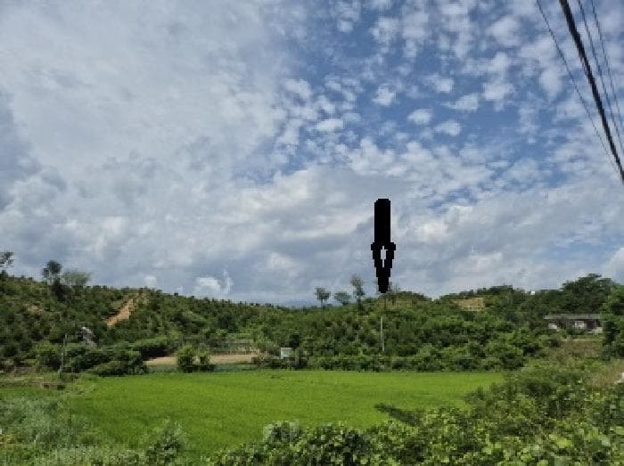 강원특별자치도 속초시 장사동 산281