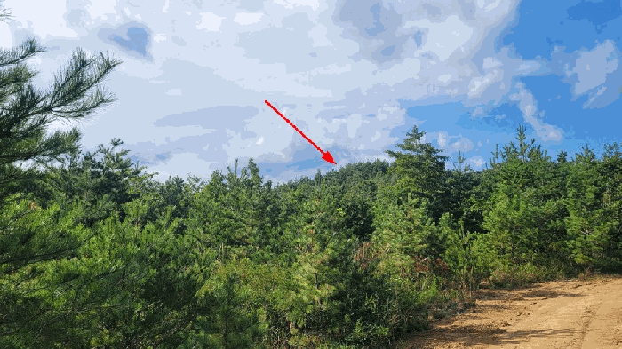 강원특별자치도 고성군 죽왕면 야촌리 산68