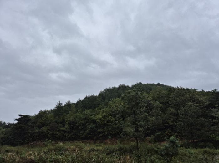 강원특별자치도 고성군 죽왕면 야촌리 산98