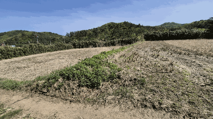 강원특별자치도 고성군 죽왕면 구성리 21