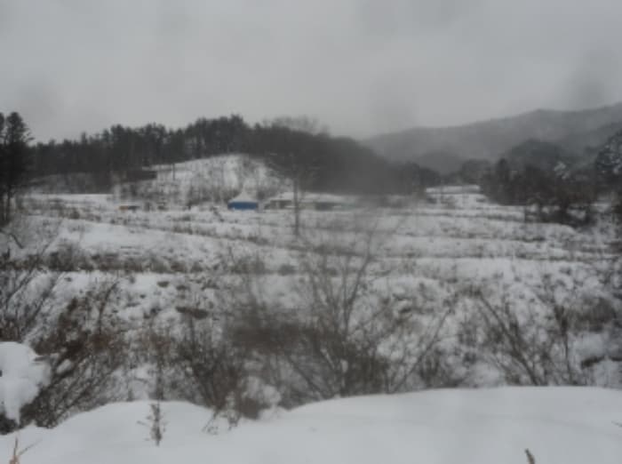 강원특별자치도 평창군 방림면 방림리 산717