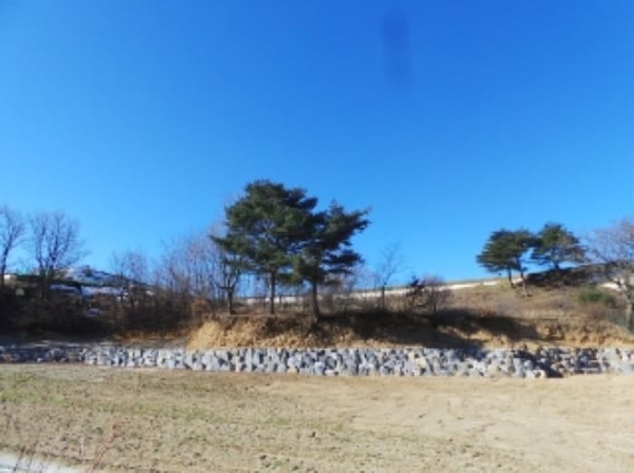 강원특별자치도 평창군 대관령면 횡계리 산106-37