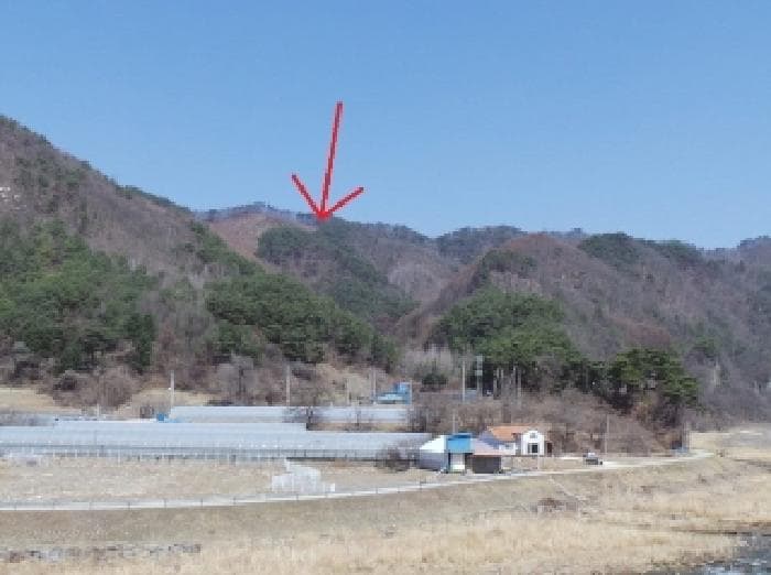 강원특별자치도 정선군 화암면 화암리 산311