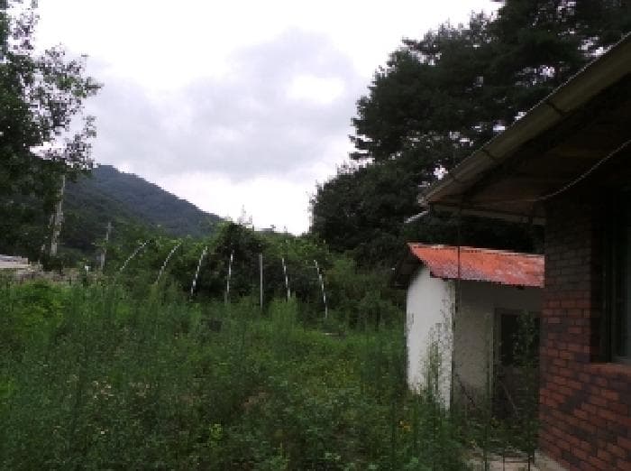 강원특별자치도 평창군 방림면 계촌리 1073