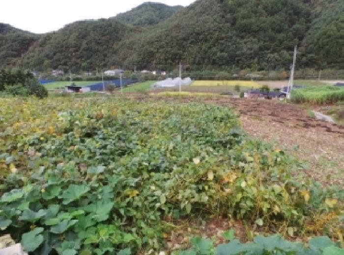 강원특별자치도 평창군 평창읍 이곡리 114-1
