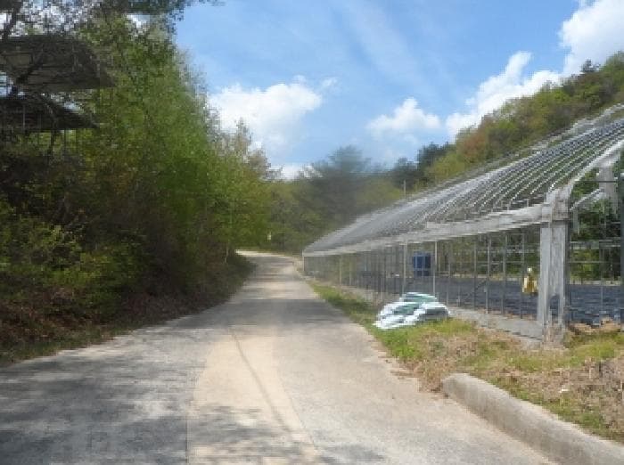 강원특별자치도 평창군 진부면 하진부리 산455-3