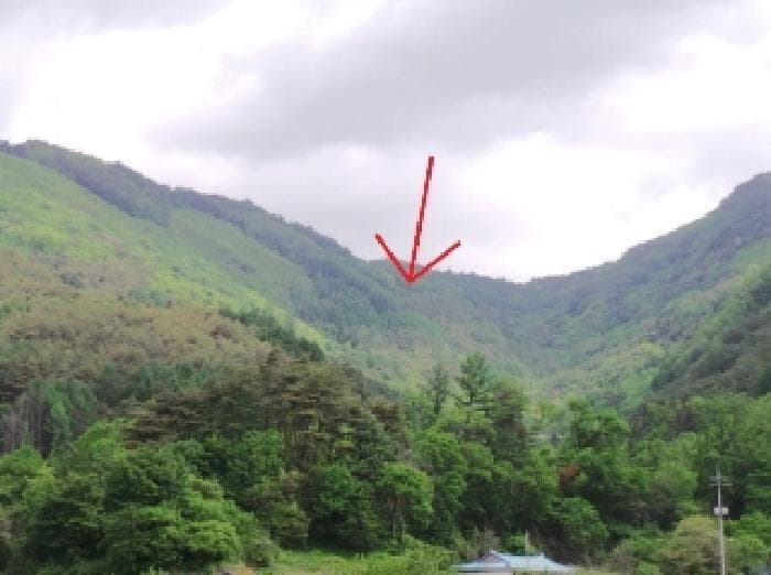 강원특별자치도 평창군 방림면 방림리 산267