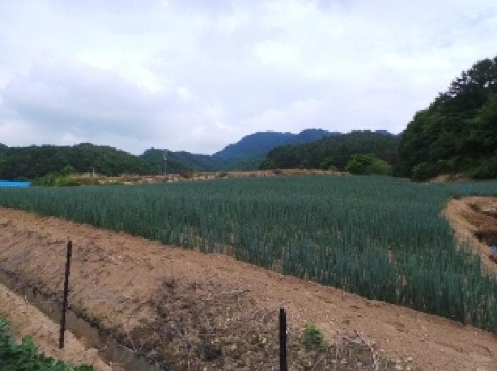 강원특별자치도 평창군 진부면 송정리 1802-2
