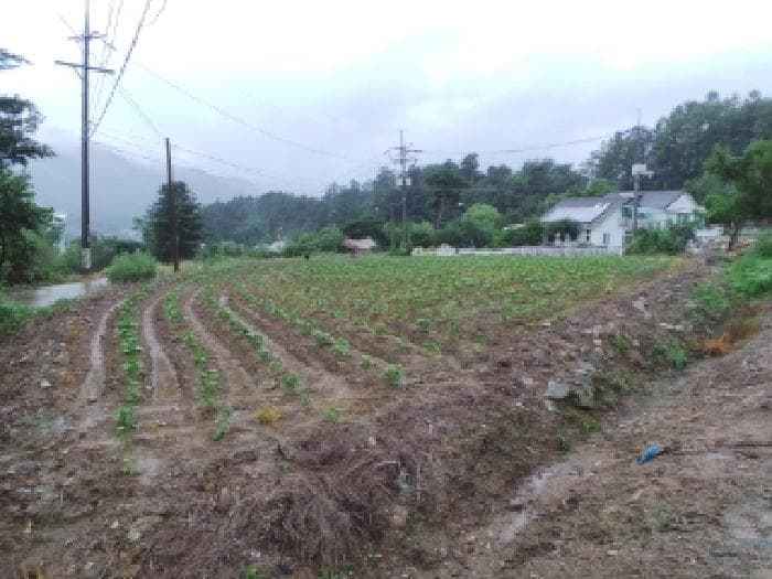 강원특별자치도 평창군 용평면 재산리 1351-23